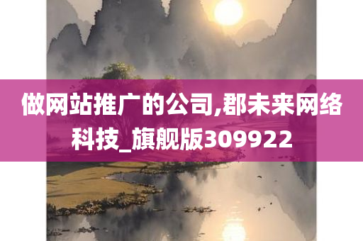 做网站推广的公司,郡未来网络科技_旗舰版309922