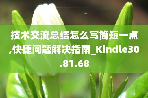 技术交流总结怎么写简短一点,快捷问题解决指南_Kindle30.81.68