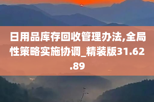 日用品库存回收管理办法,全局性策略实施协调_精装版31.62.89