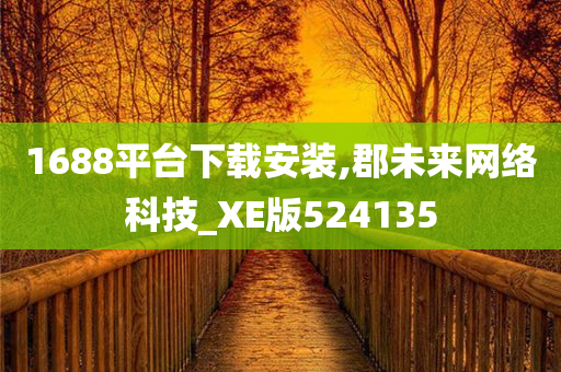 1688平台下载安装,郡未来网络科技_XE版524135