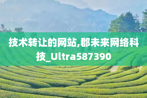 技术转让的网站,郡未来网络科技_Ultra587390