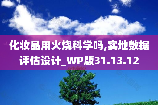 化妆品用火烧科学吗,实地数据评估设计_WP版31.13.12