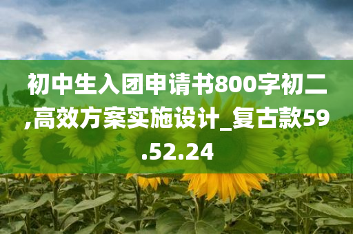 初中生入团申请书800字初二,高效方案实施设计_复古款59.52.24