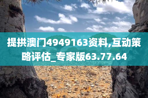 提拱澳门4949163资料,互动策略评估_专家版63.77.64