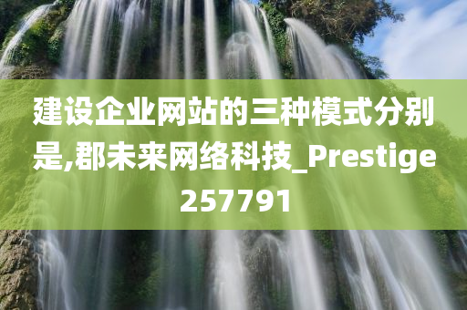 建设企业网站的三种模式分别是,郡未来网络科技_Prestige257791