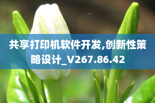 共享打印机软件开发,创新性策略设计_V267.86.42