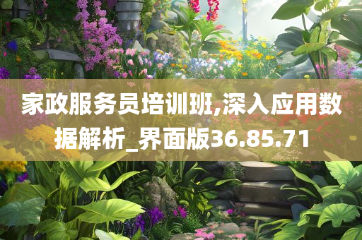 家政服务员培训班,深入应用数据解析_界面版36.85.71