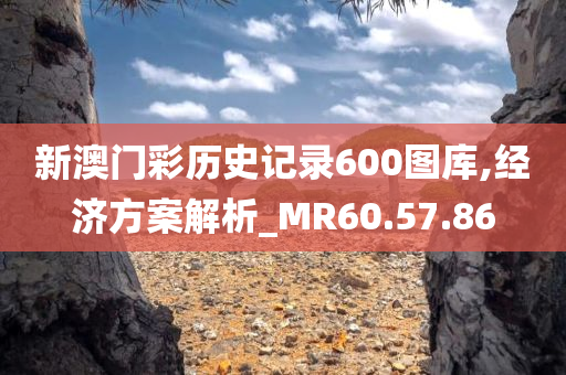 新澳门彩历史记录600图库,经济方案解析_MR60.57.86