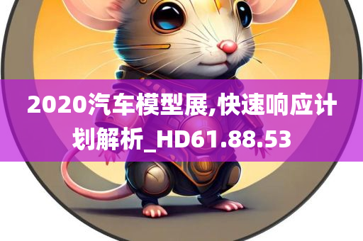 2020汽车模型展,快速响应计划解析_HD61.88.53