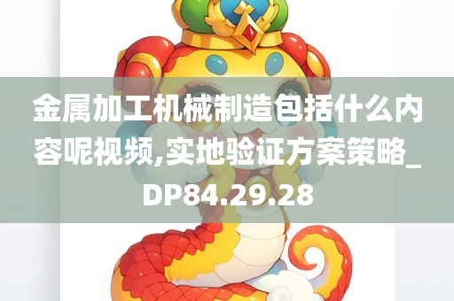 金属加工机械制造包括什么内容呢视频,实地验证方案策略_DP84.29.28