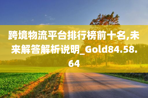 跨境物流平台排行榜前十名,未来解答解析说明_Gold84.58.64