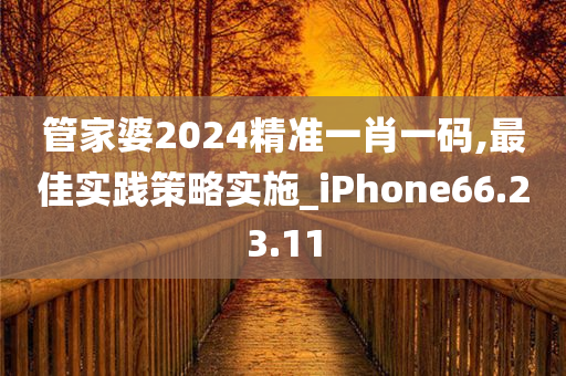 管家婆2024精准一肖一码,最佳实践策略实施_iPhone66.23.11