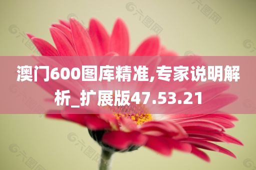 澳门600图库精准,专家说明解析_扩展版47.53.21