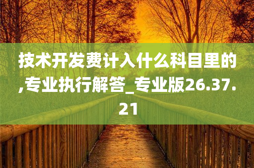 技术开发费计入什么科目里的,专业执行解答_专业版26.37.21