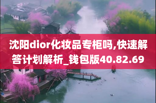 沈阳dior化妆品专柜吗,快速解答计划解析_钱包版40.82.69