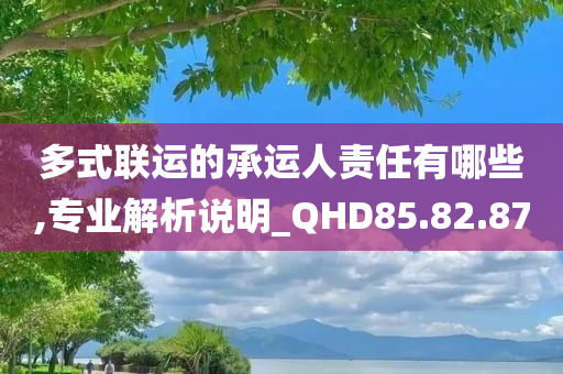 多式联运的承运人责任有哪些,专业解析说明_QHD85.82.87