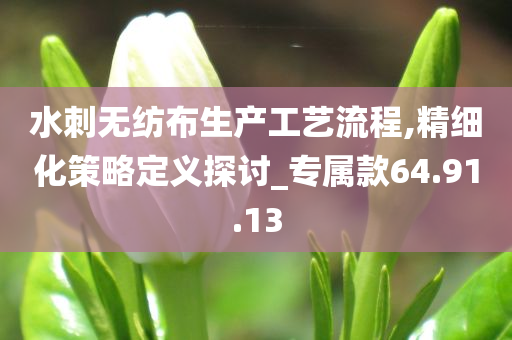 水刺无纺布生产工艺流程,精细化策略定义探讨_专属款64.91.13