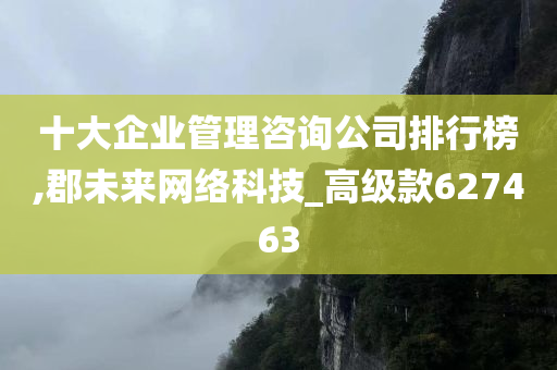 十大企业管理咨询公司排行榜,郡未来网络科技_高级款627463