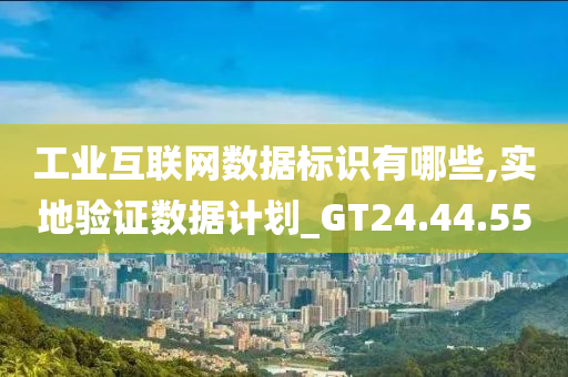 工业互联网数据标识有哪些,实地验证数据计划_GT24.44.55