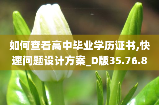 如何查看高中毕业学历证书,快速问题设计方案_D版35.76.80