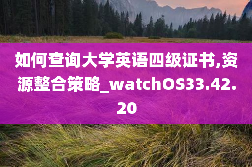 如何查询大学英语四级证书,资源整合策略_watchOS33.42.20