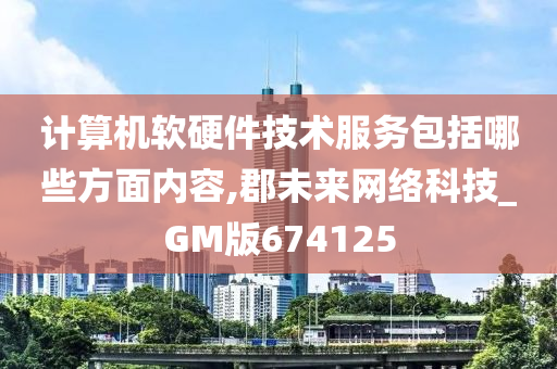 计算机软硬件技术服务包括哪些方面内容,郡未来网络科技_GM版674125