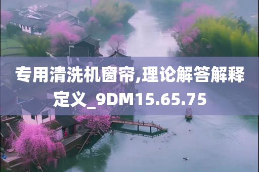 专用清洗机窗帘,理论解答解释定义_9DM15.65.75