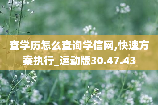 查学历怎么查询学信网,快速方案执行_运动版30.47.43