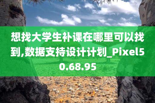 想找大学生补课在哪里可以找到,数据支持设计计划_Pixel50.68.95