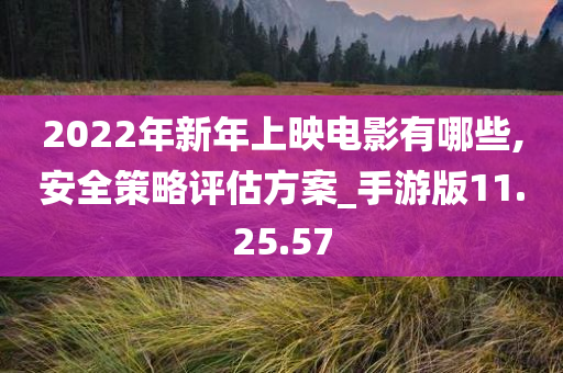 2022年新年上映电影有哪些,安全策略评估方案_手游版11.25.57