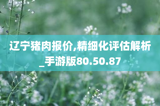 辽宁猪肉报价,精细化评估解析_手游版80.50.87