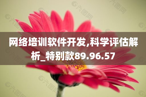 网络培训软件开发,科学评估解析_特别款89.96.57