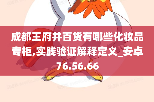 成都王府井百货有哪些化妆品专柜,实践验证解释定义_安卓76.56.66