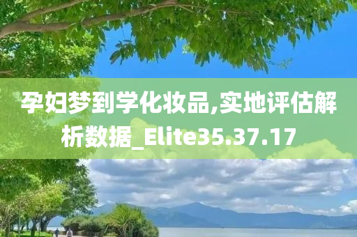 孕妇梦到学化妆品,实地评估解析数据_Elite35.37.17