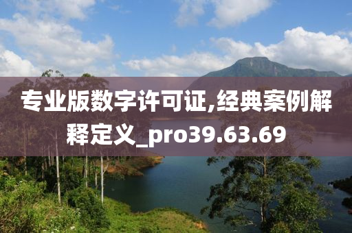 专业版数字许可证,经典案例解释定义_pro39.63.69