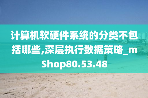 计算机软硬件系统的分类不包括哪些,深层执行数据策略_mShop80.53.48