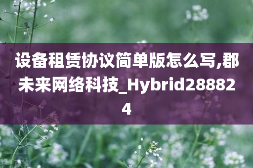 设备租赁协议简单版怎么写,郡未来网络科技_Hybrid288824