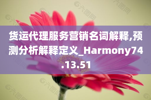 货运代理服务营销名词解释,预测分析解释定义_Harmony74.13.51