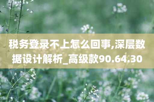 税务登录不上怎么回事,深层数据设计解析_高级款90.64.30