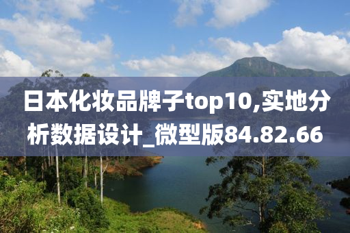 日本化妆品牌子top10,实地分析数据设计_微型版84.82.66