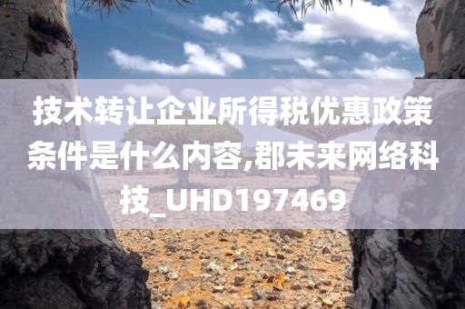 技术转让企业所得税优惠政策条件是什么内容,郡未来网络科技_UHD197469