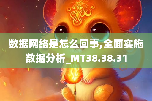 数据网络是怎么回事,全面实施数据分析_MT38.38.31