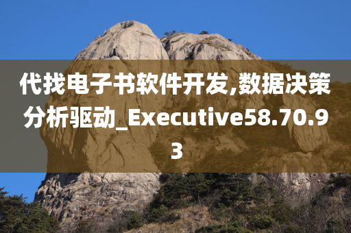 代找电子书软件开发,数据决策分析驱动_Executive58.70.93