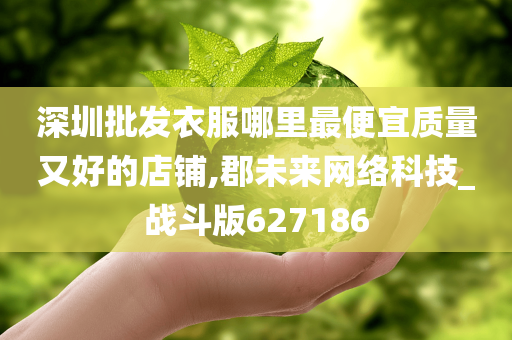 深圳批发衣服哪里最便宜质量又好的店铺,郡未来网络科技_战斗版627186