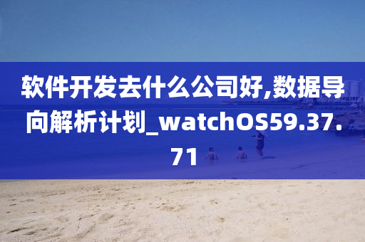 软件开发去什么公司好,数据导向解析计划_watchOS59.37.71