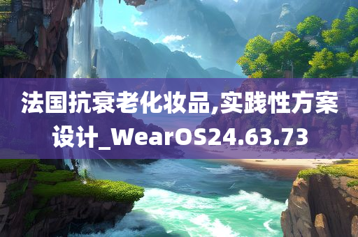 法国抗衰老化妆品,实践性方案设计_WearOS24.63.73