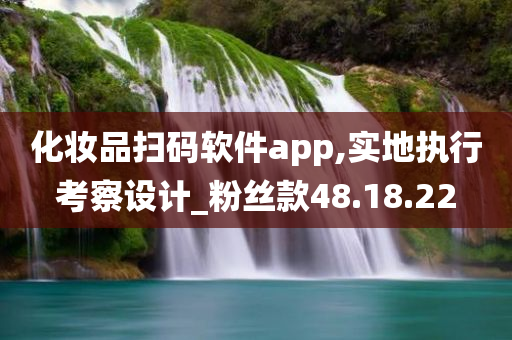 化妆品扫码软件app,实地执行考察设计_粉丝款48.18.22