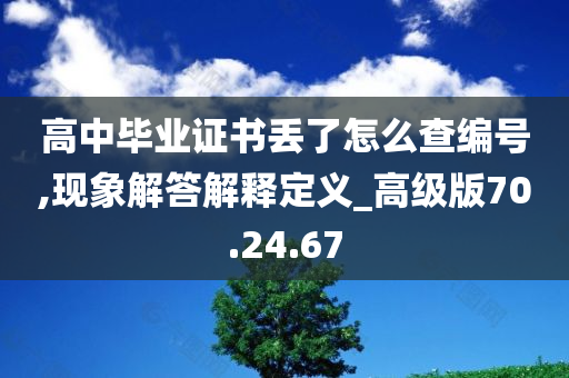 高中毕业证书丢了怎么查编号,现象解答解释定义_高级版70.24.67