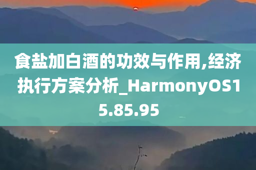 食盐加白酒的功效与作用,经济执行方案分析_HarmonyOS15.85.95