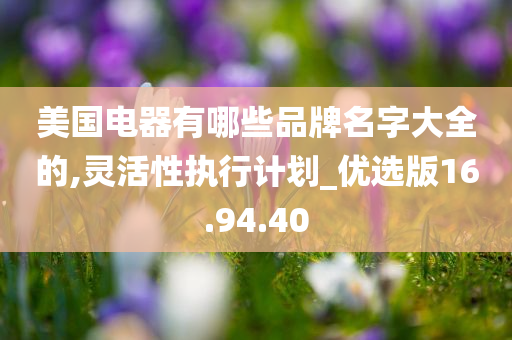 美国电器有哪些品牌名字大全的,灵活性执行计划_优选版16.94.40